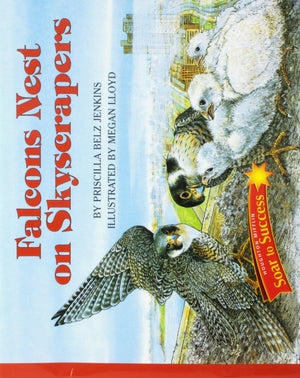 Falcons Nest on Skyscrapers (Soar to Success),Used