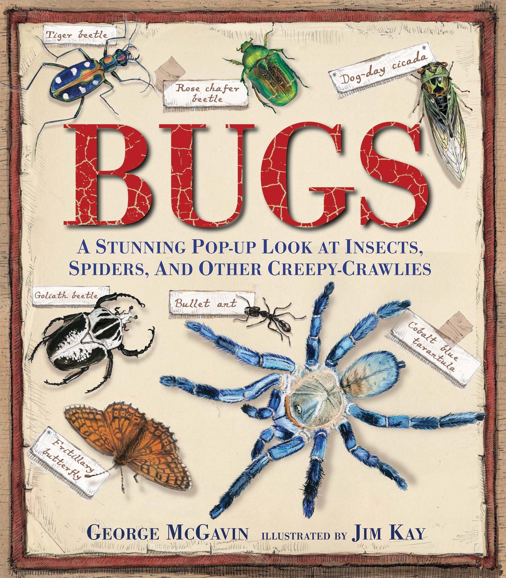 Bugs: A Stunning Popup Look at Insects, Spiders, and Other CreepyCrawlies,New