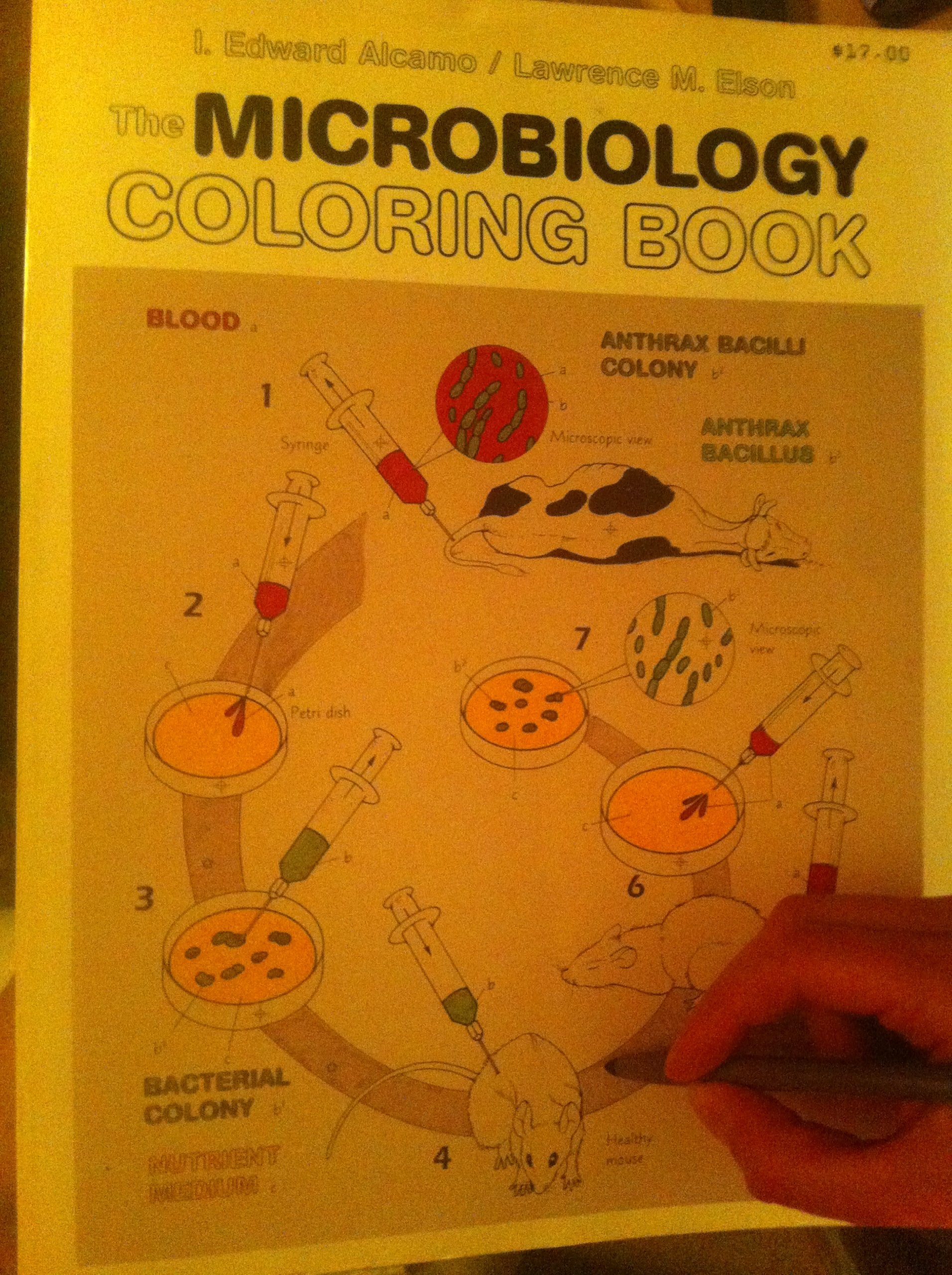 The Microbiology Coloring Book,Used