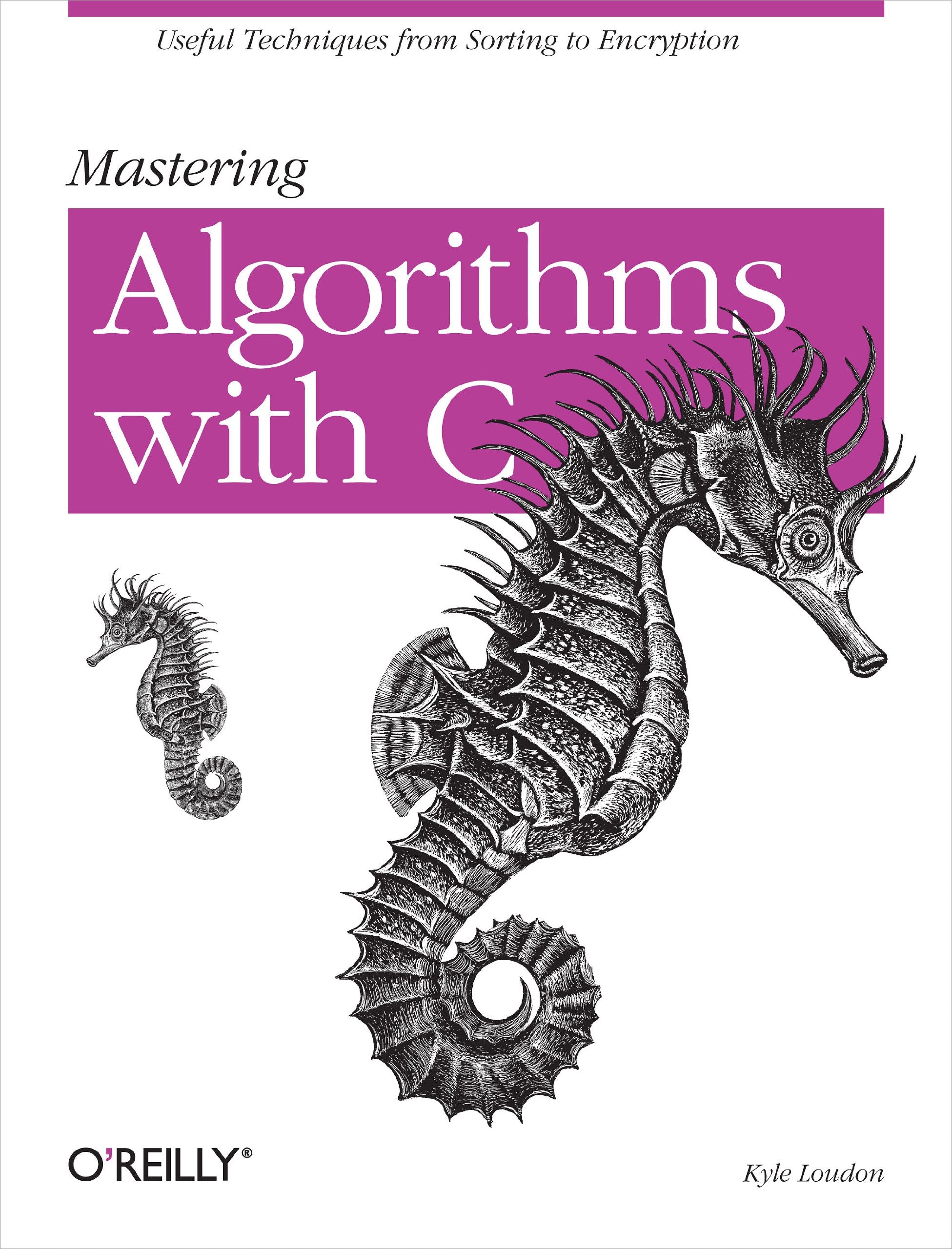 Mastering Algorithms with C: Useful Techniques from Sorting to Encryption,Used