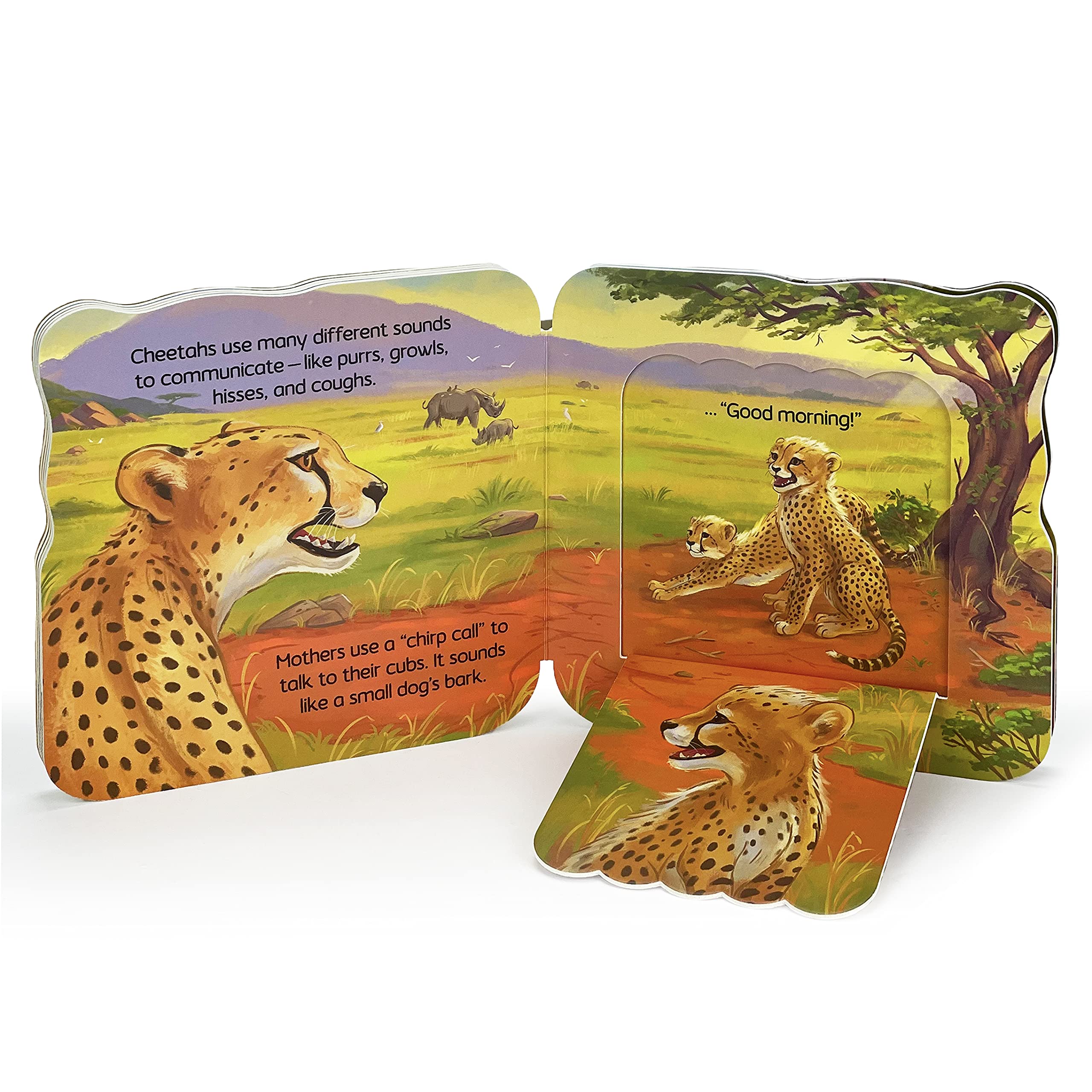 Cheetah (Jane & Me: Jane Goodall Institute Children'S Interactive Liftaflap Board Book)