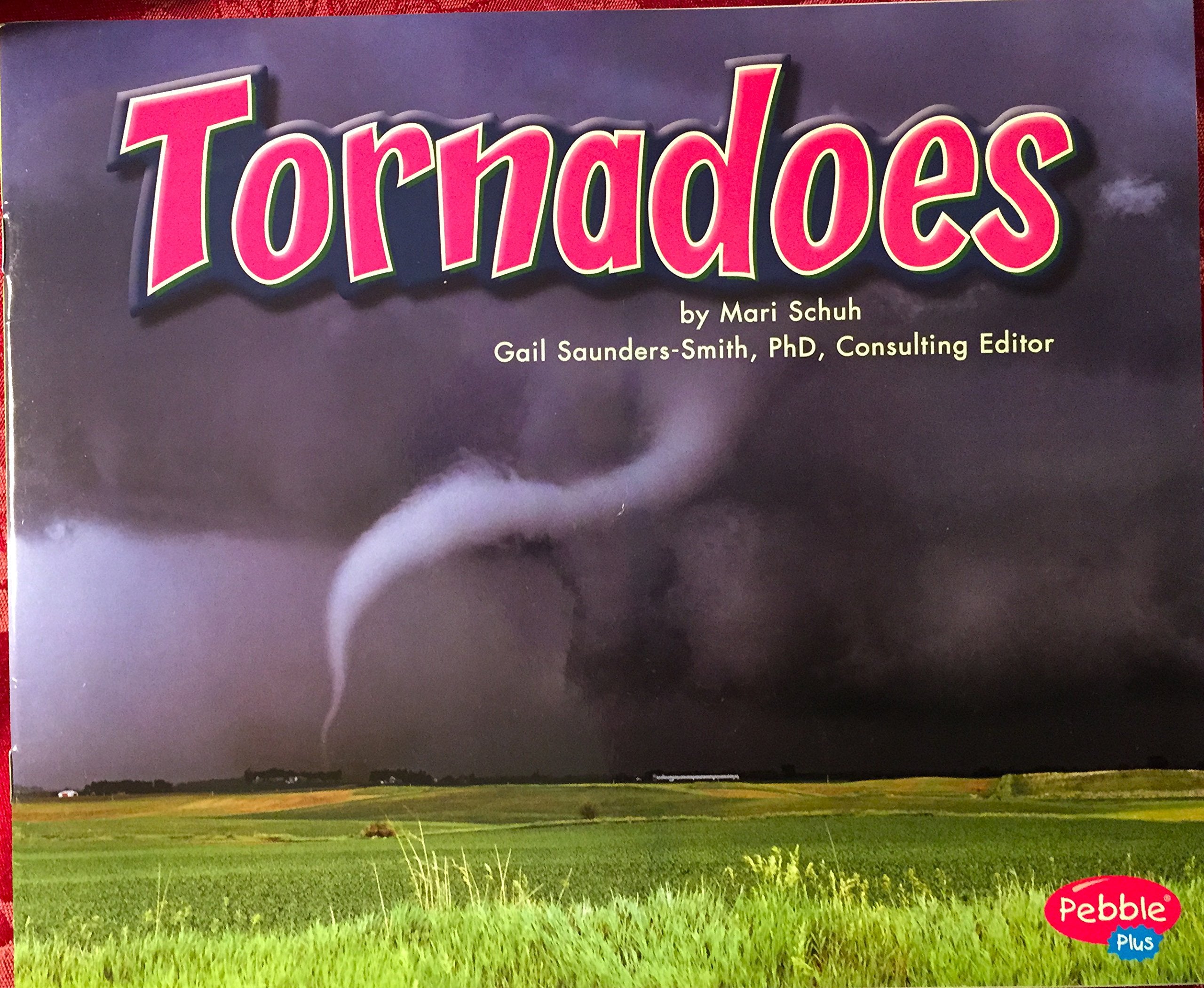 Tornadoes [Scholastic] (Earth In Action),New