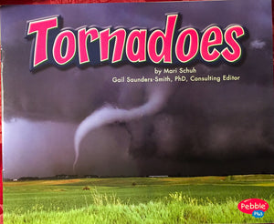 Tornadoes [Scholastic] (Earth In Action),New