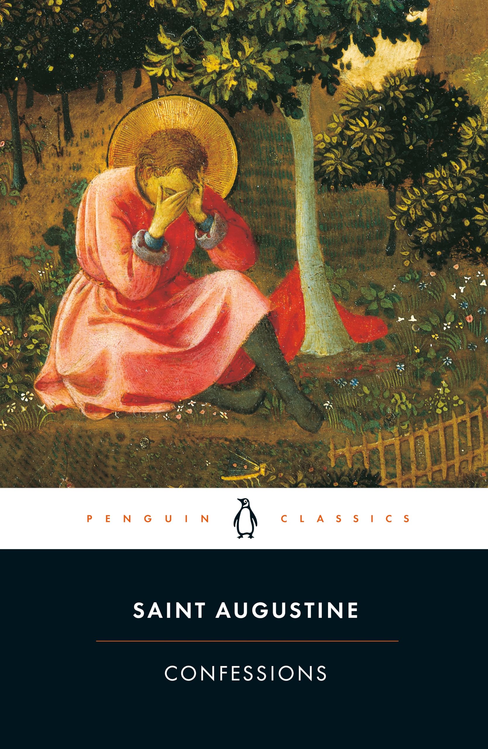 Confessions (Penguin Classics),Used