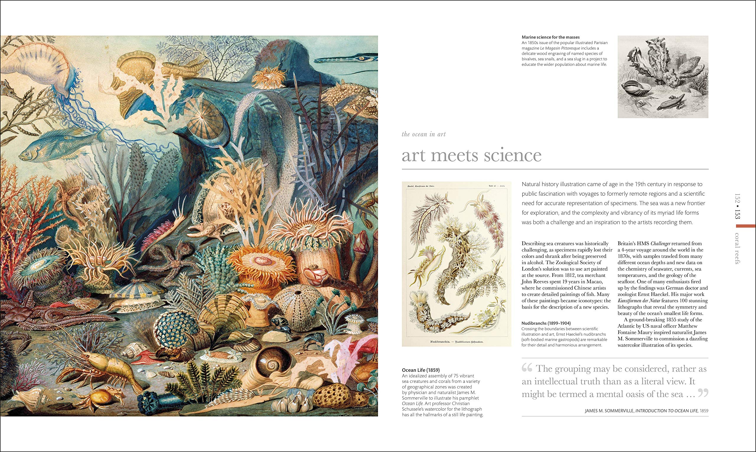 Oceanology: The Secrets Of The Sea Revealed (Dk Secret World Encyclopedias)-used