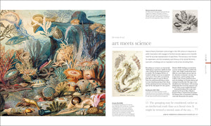 Oceanology: The Secrets Of The Sea Revealed (Dk Secret World Encyclopedias)-used