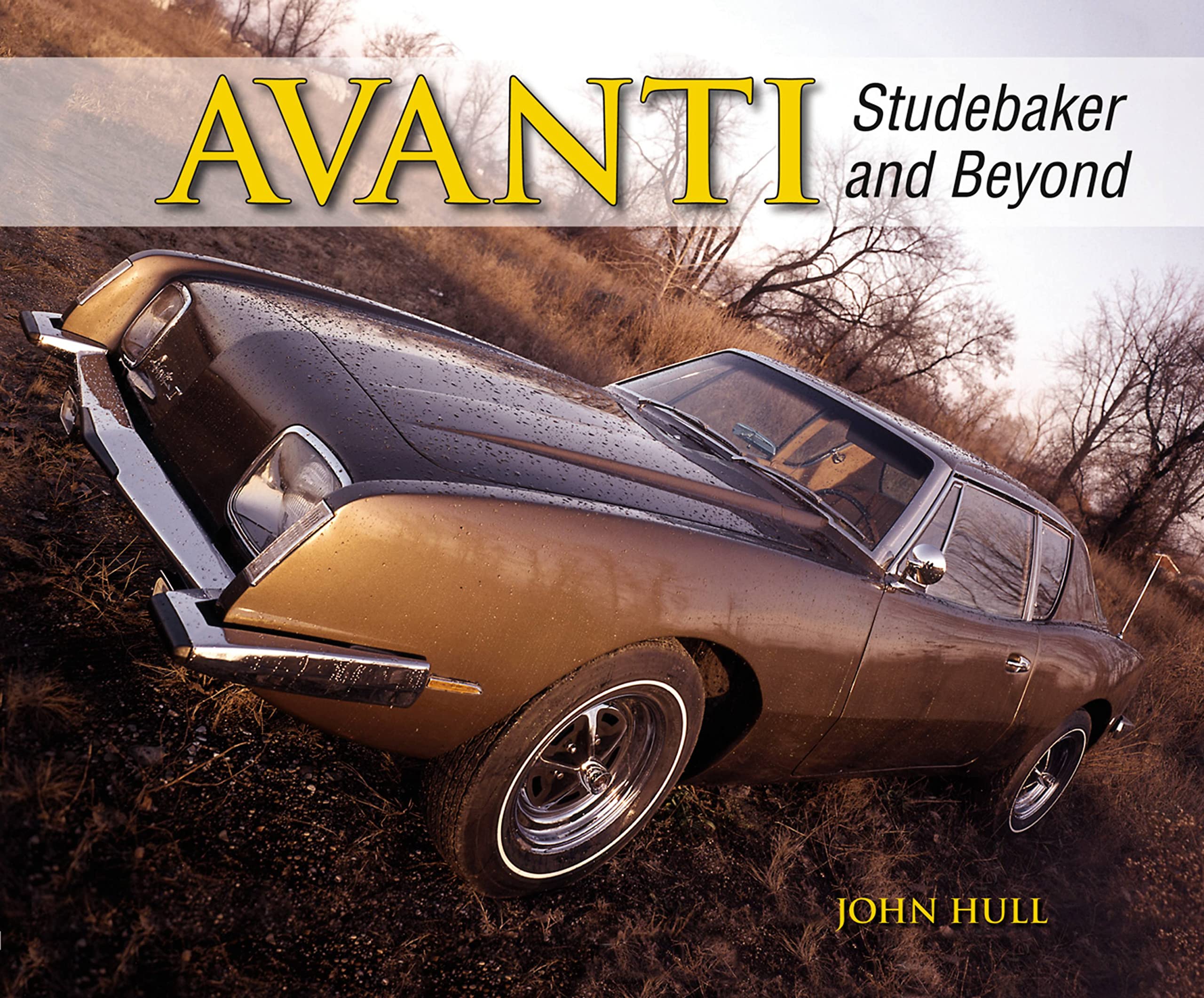 Avanti: Studebaker and Beyond,Used
