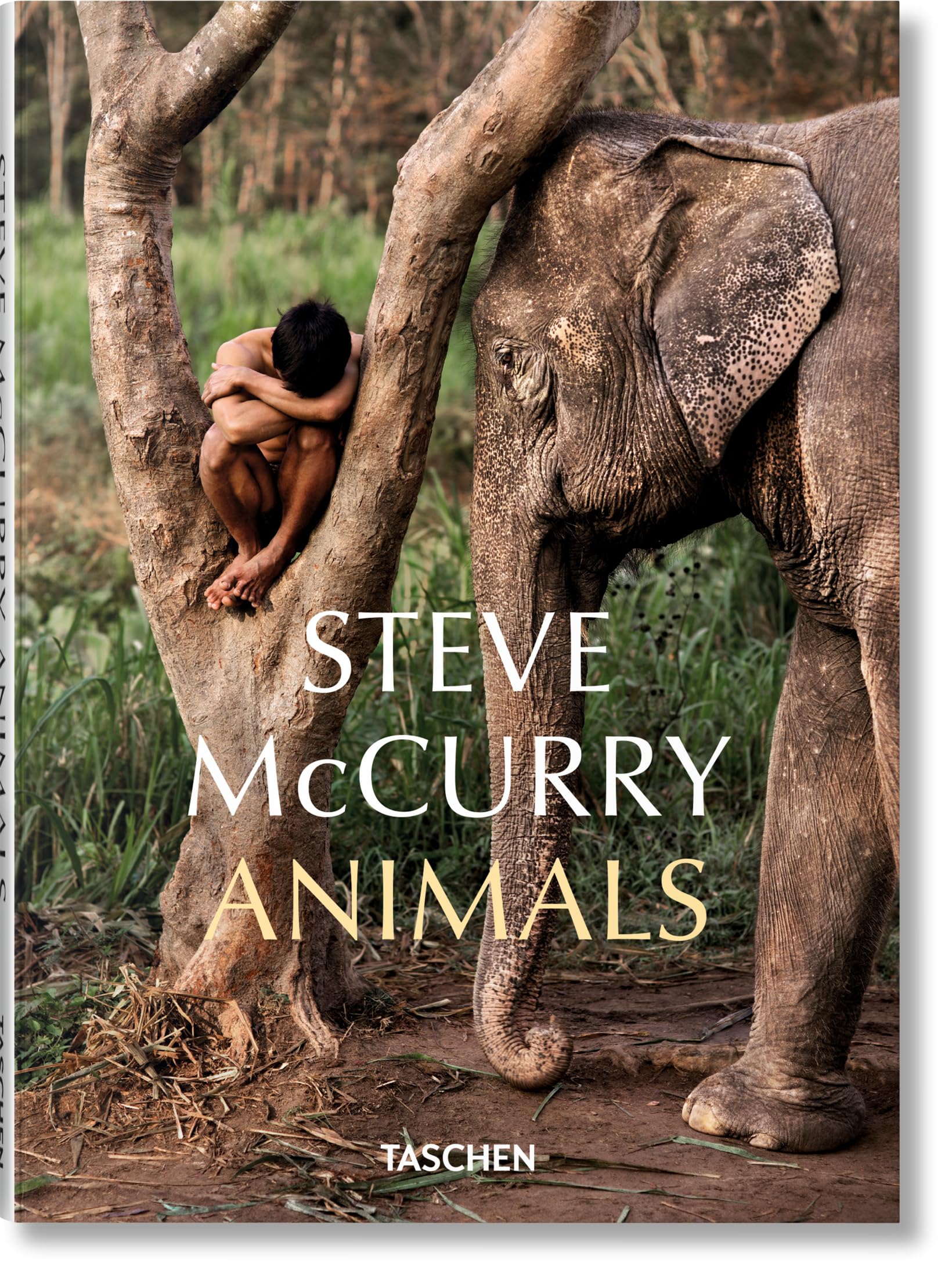 Steve McCurry Animals,New