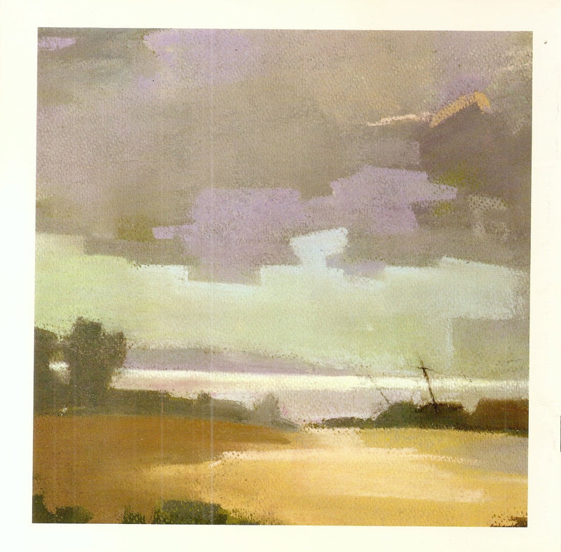 Working With Pastel (Leisure Arts Series 17),Used