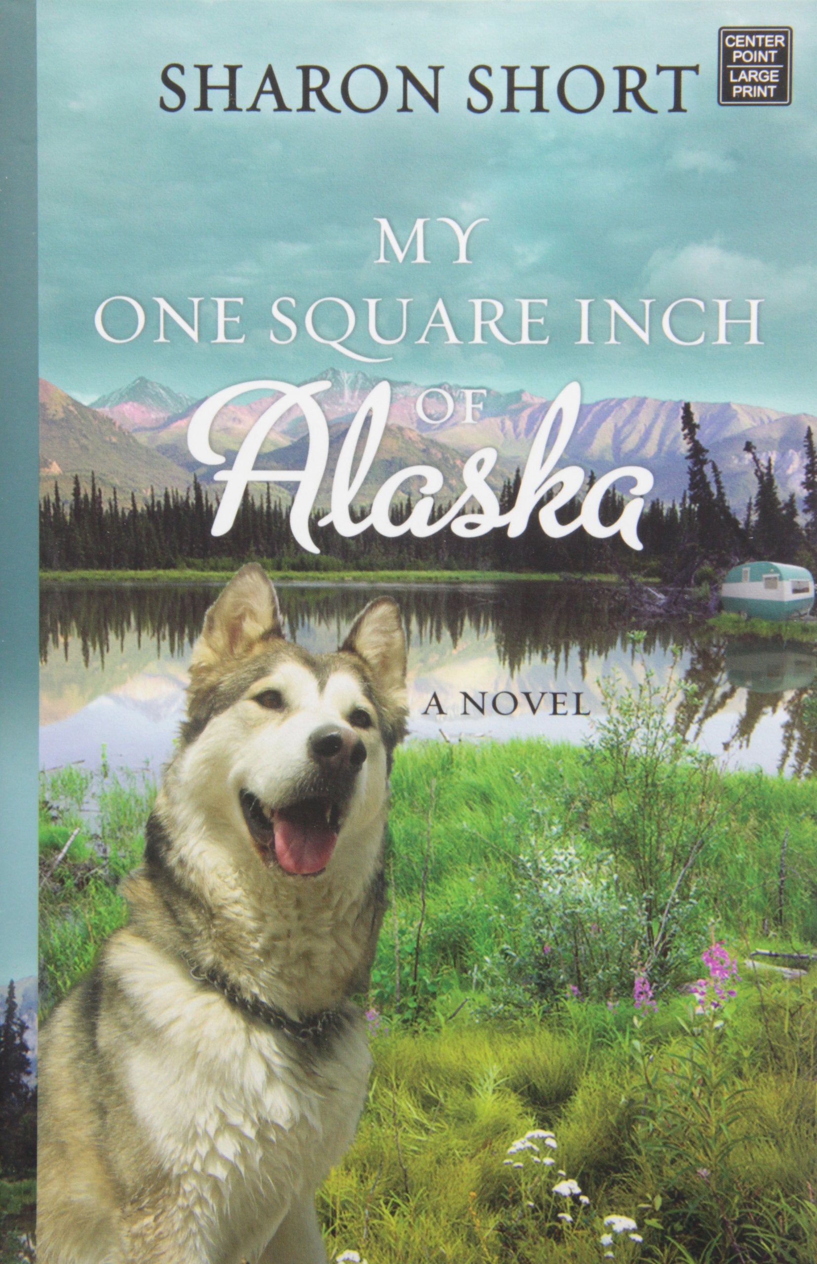 My One Square Inch Of Alaska,Used