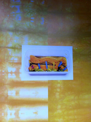 Color By Accident: Lowwater Immersion Dyeing,New