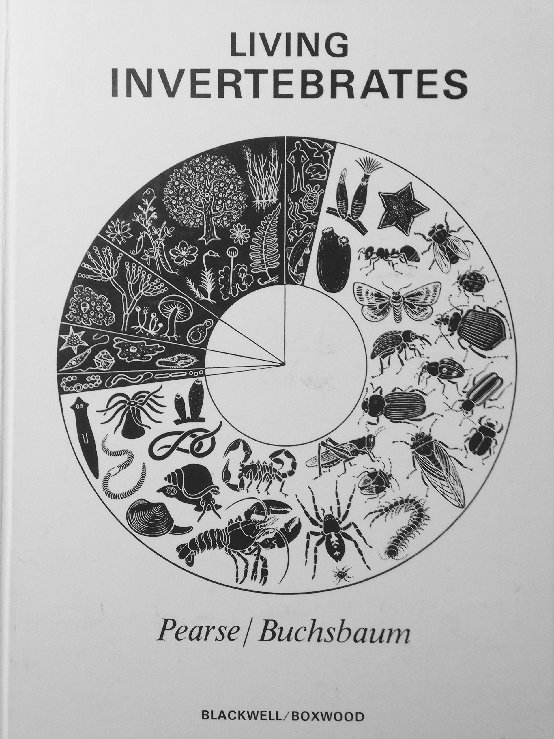 Living Invertebrates,New