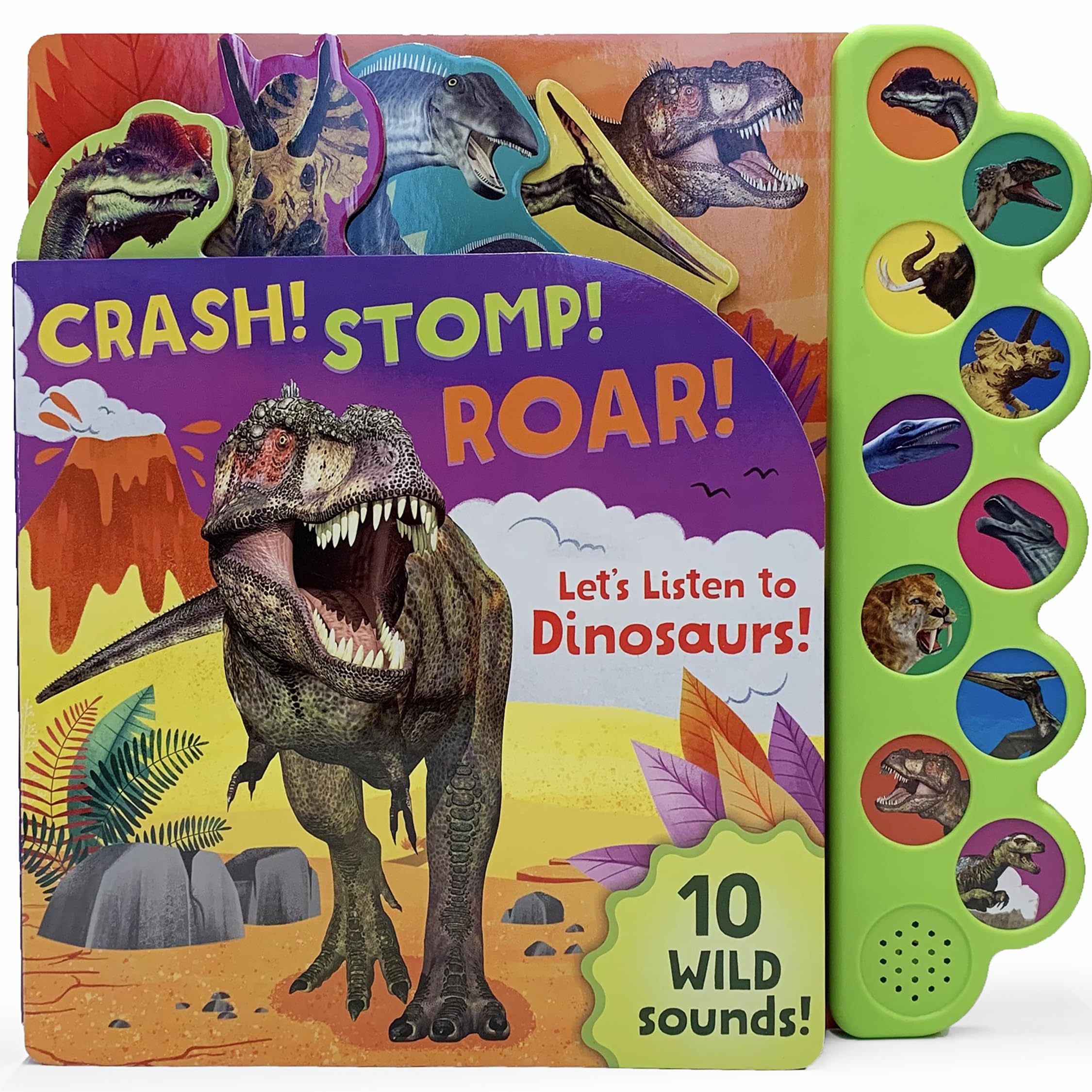 Crash! Stomp! Roar! Let's Listen To Dinosaurs! 10Button Sound Book, Gifts For Little Dino Lovers,Used