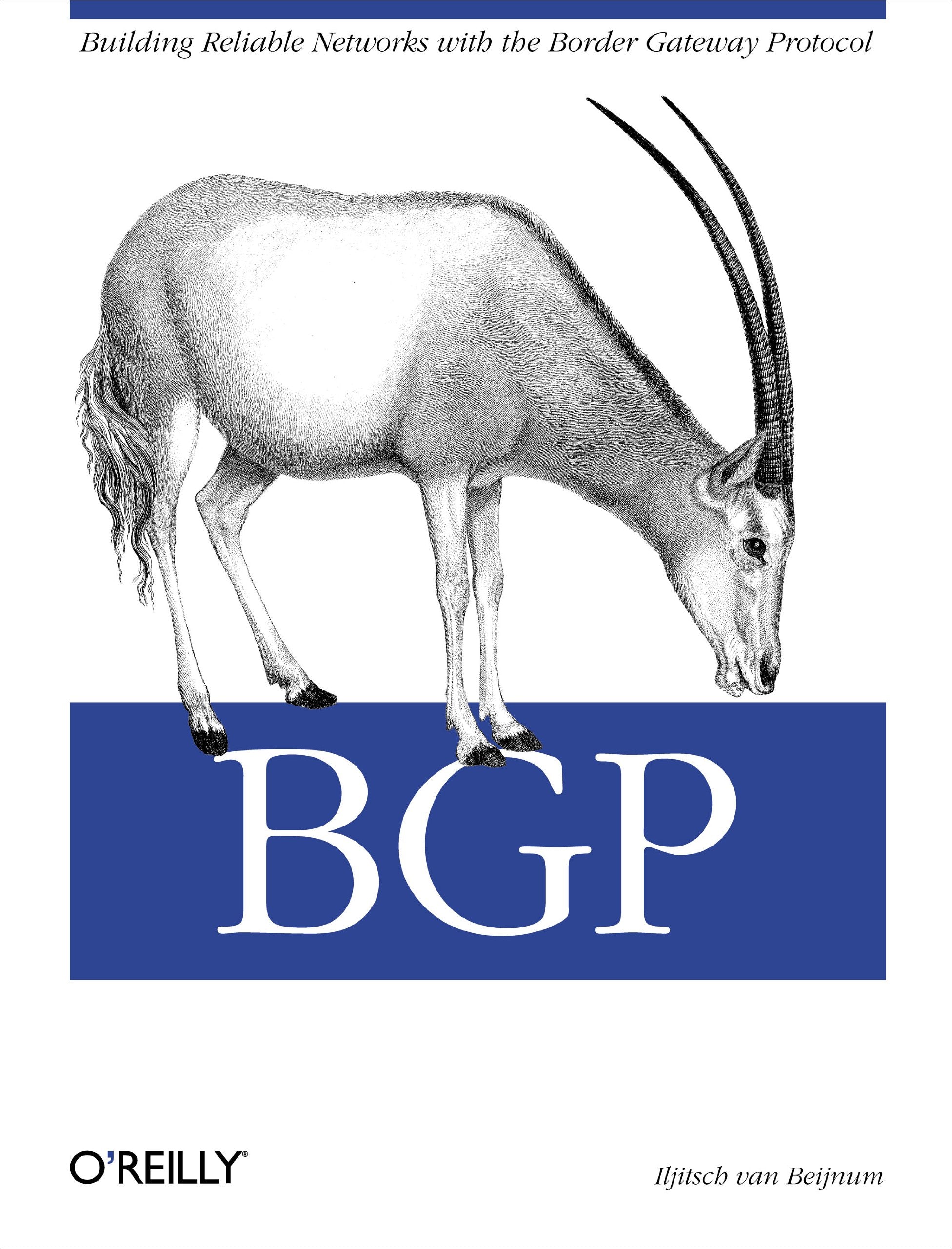 BGP: Building Reliable Networks with the Border Gateway Protocol,Used