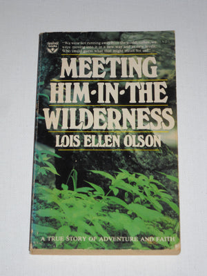 Meeting Him In The Wilderness,Used