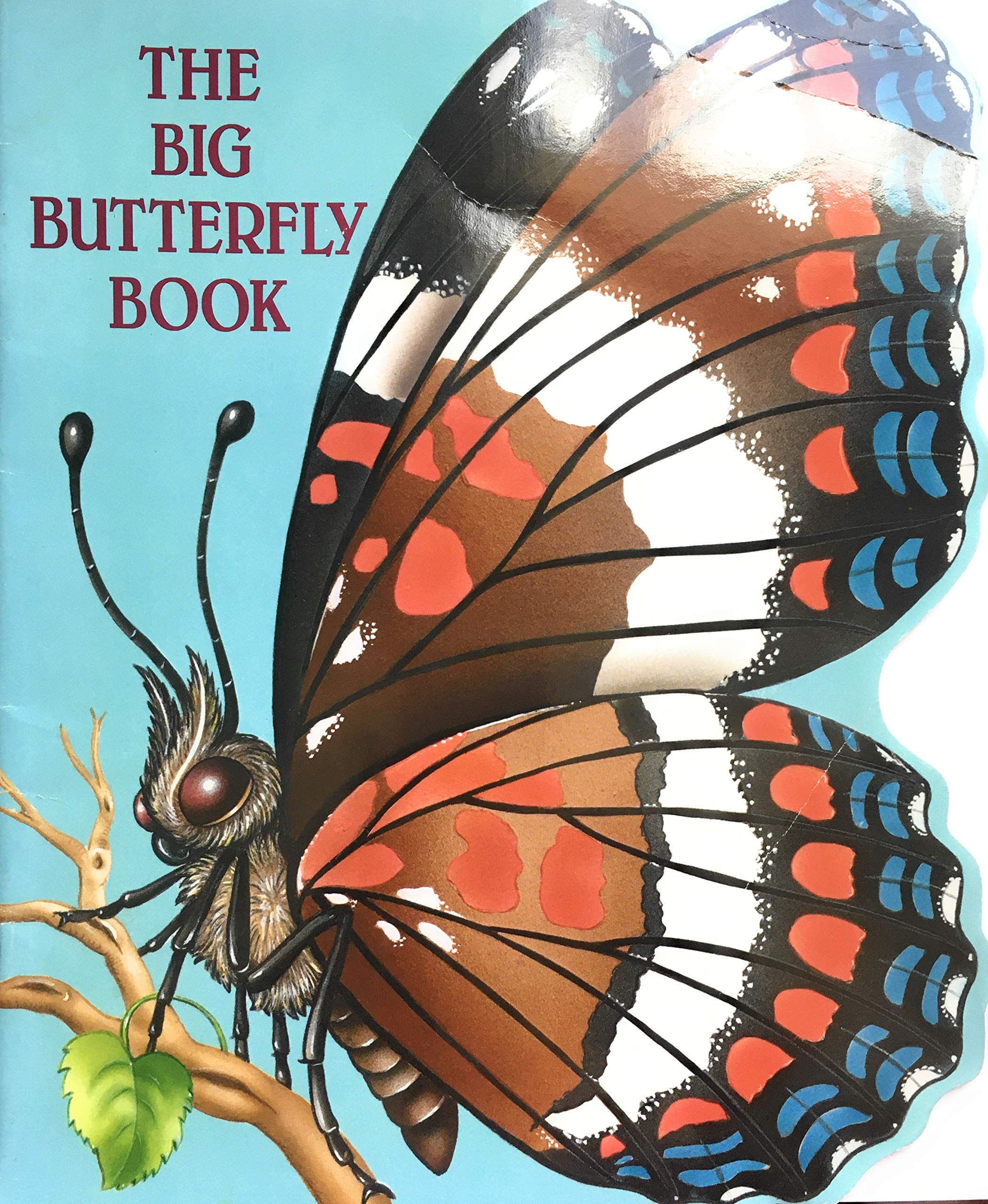 The Big Butterfly Book (A Nutshell Book),Used