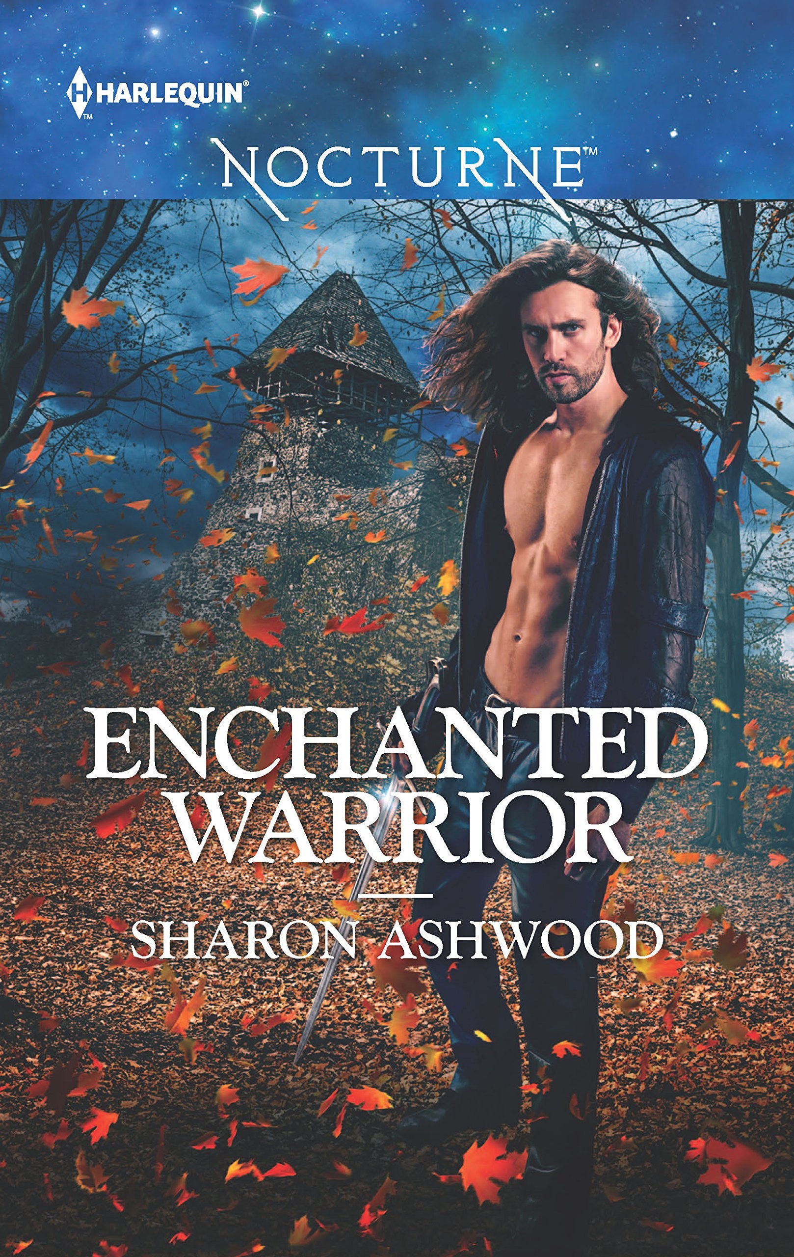 Enchanted Warrior: A Fantasy Romance Novel (Camelot Reborn, 1),Used