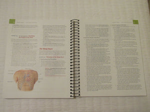 Laboratory Investigations in Anatomy & Physiology, Cat Version,Used