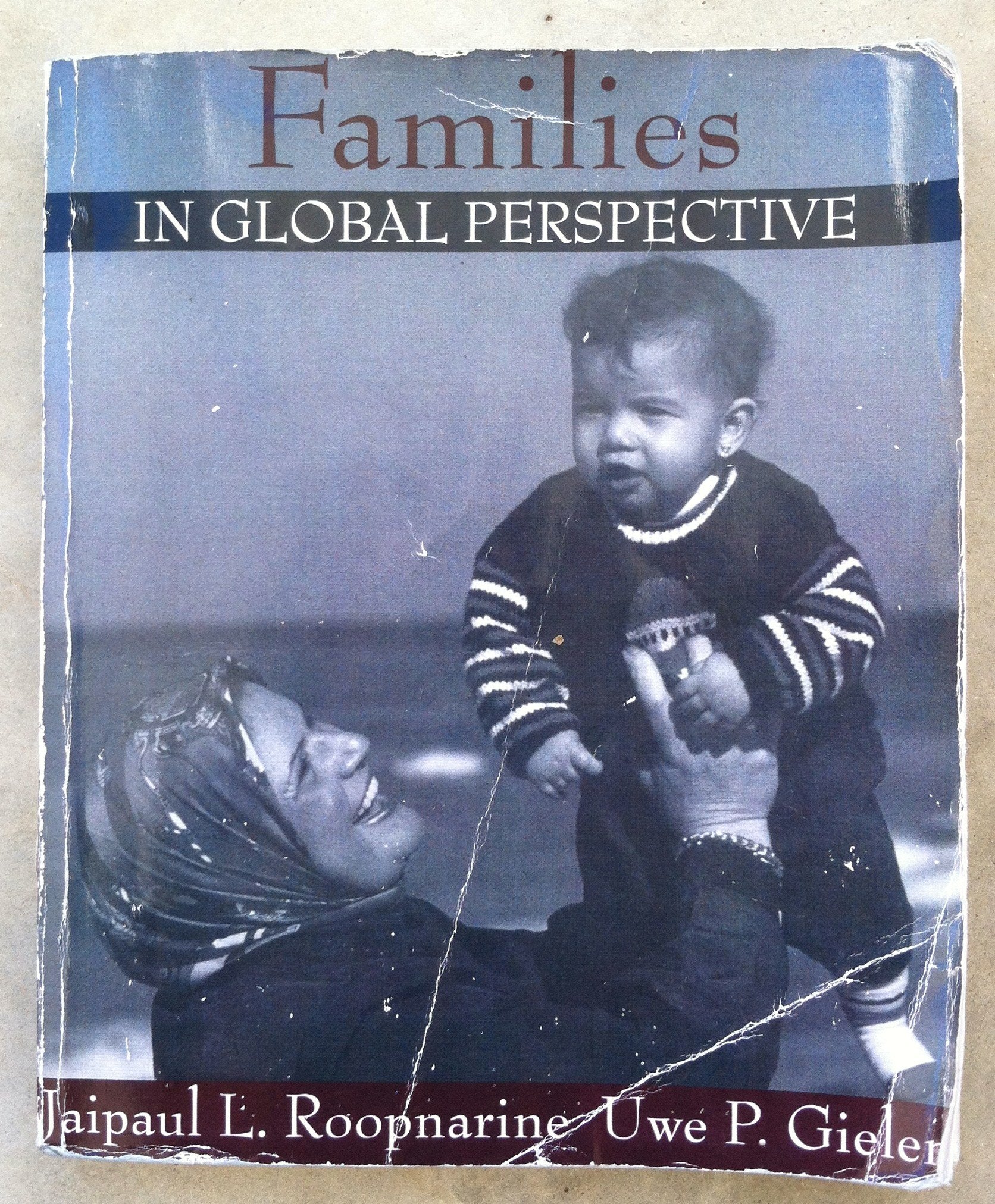 Families In Global Perspective,New