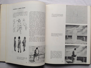 Techniques of Painting,Used