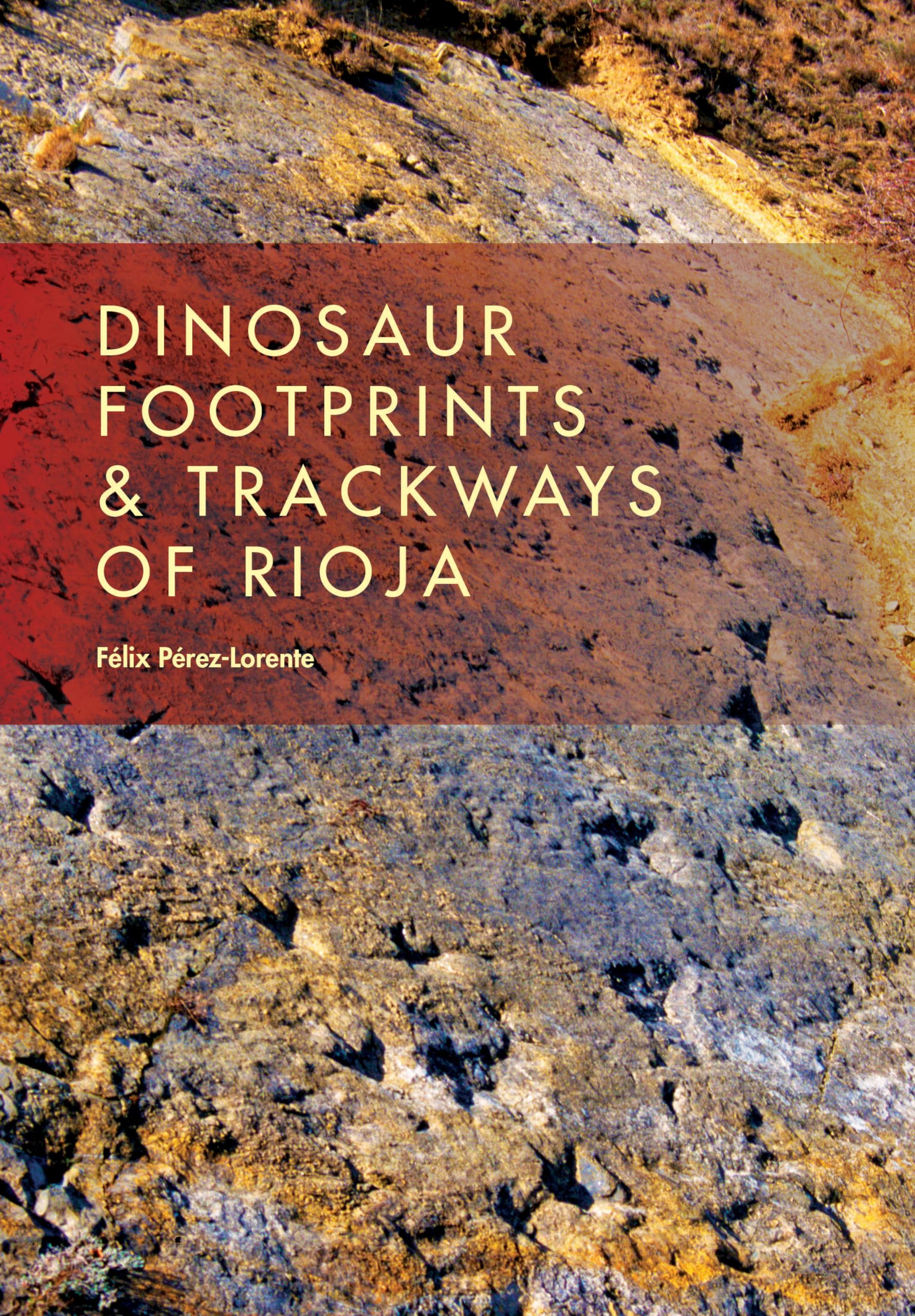 Dinosaur Footprints and Trackways of La Rioja (Life of the Past),Used