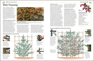 Pruning and Training, Revised New Edition: What, When, and How to Prune,New