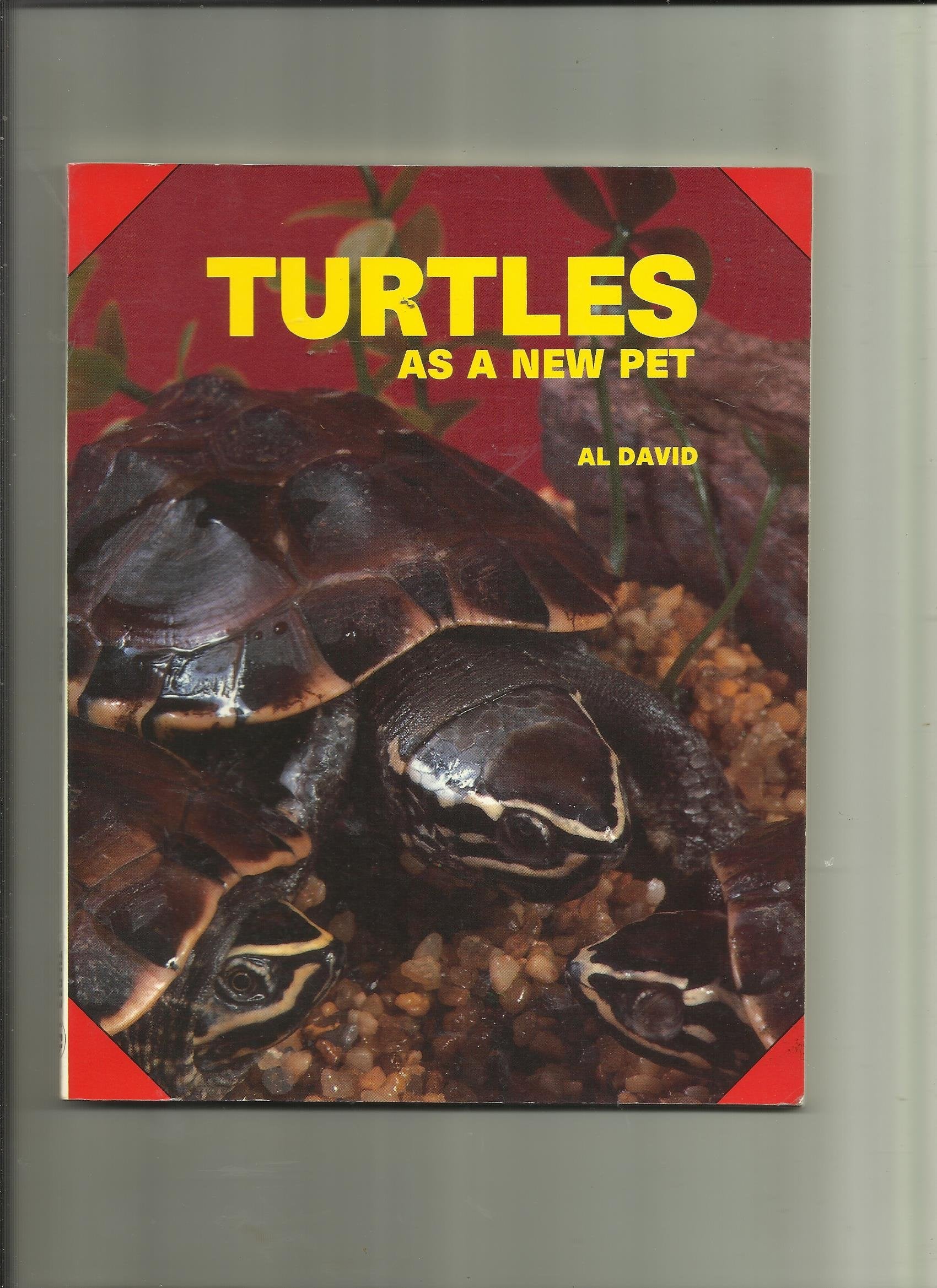 Turtles As a New Pet,Used