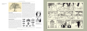 Les aventures de Tintin ; La malediction de Rascar Capac : Le mystere des boules de cristal (French Edition),Used