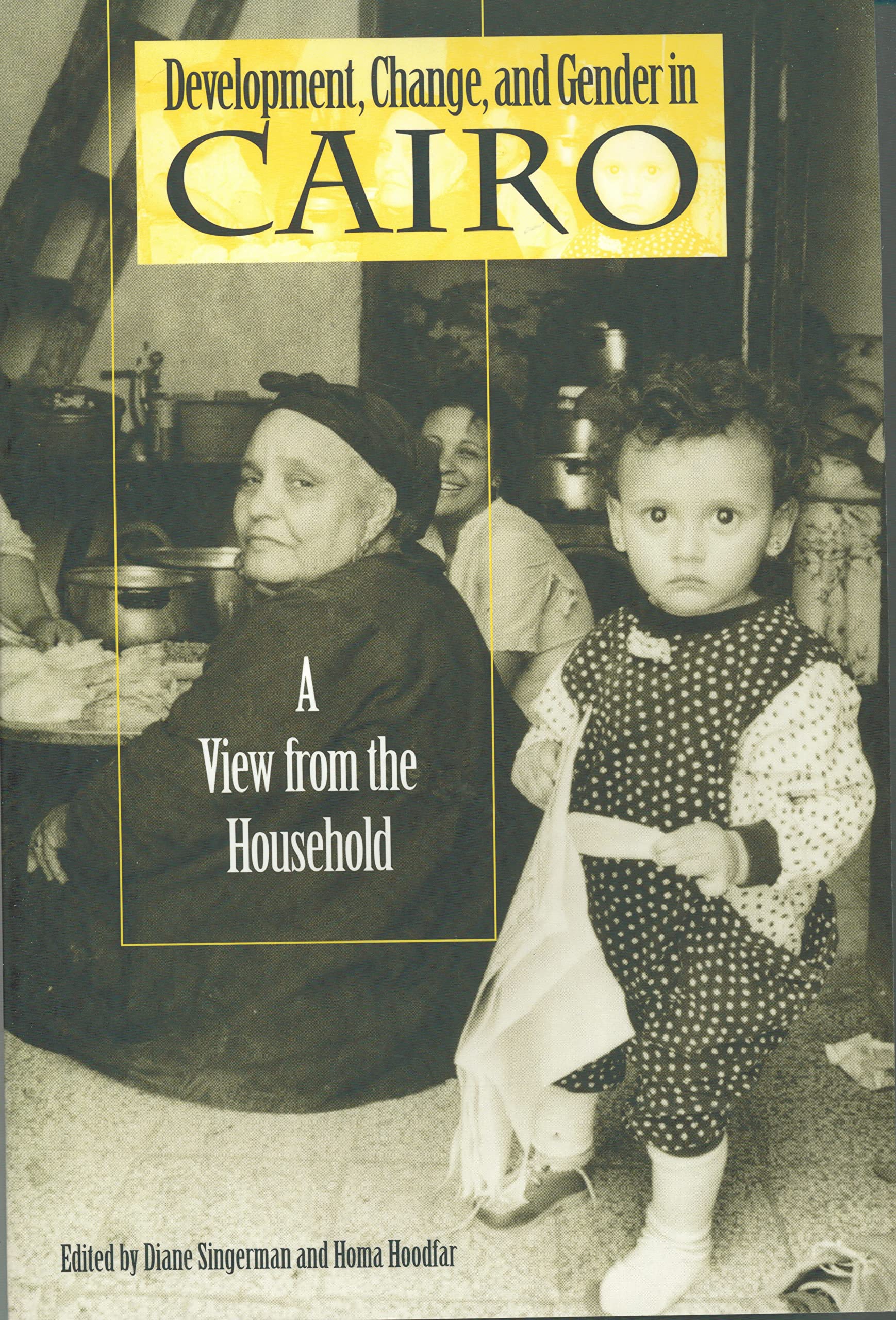 Development, Change, and Gender in Cairo: A View from the Household (Arab and Islamic Studies),Used