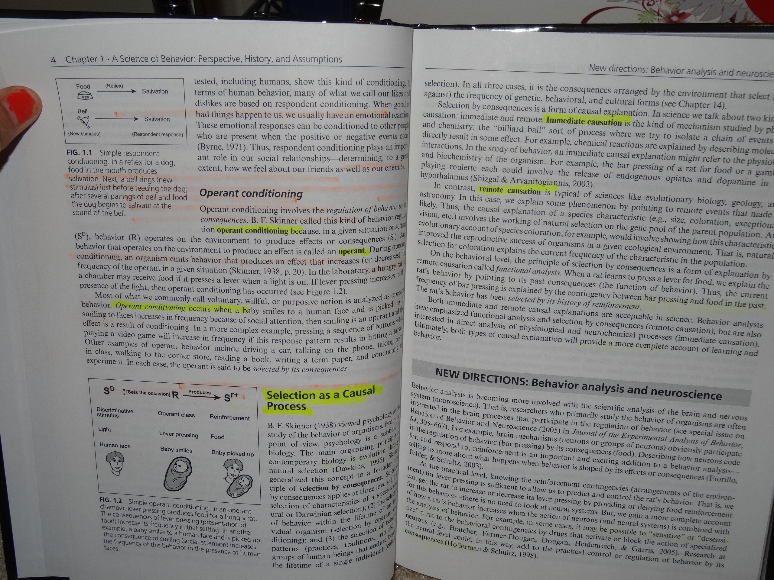 Behavior Analysis and Learning: Fourth Edition,Used
