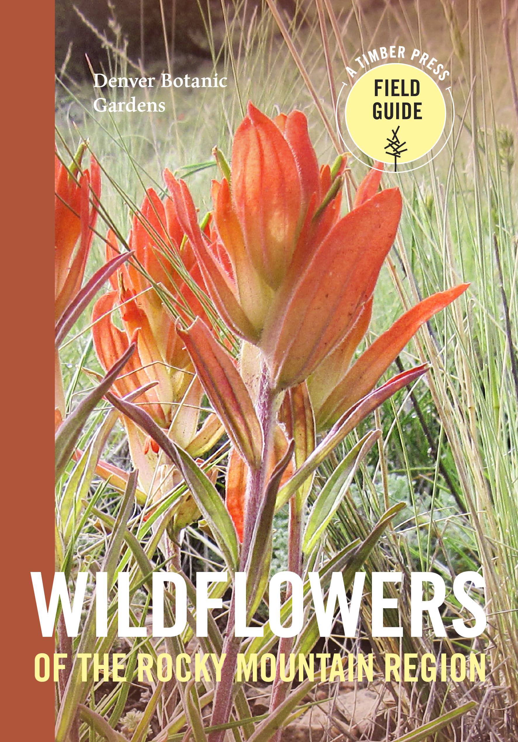 Wildflowers of the Rocky Mountain Region (A Timber Press Field Guide),Used
