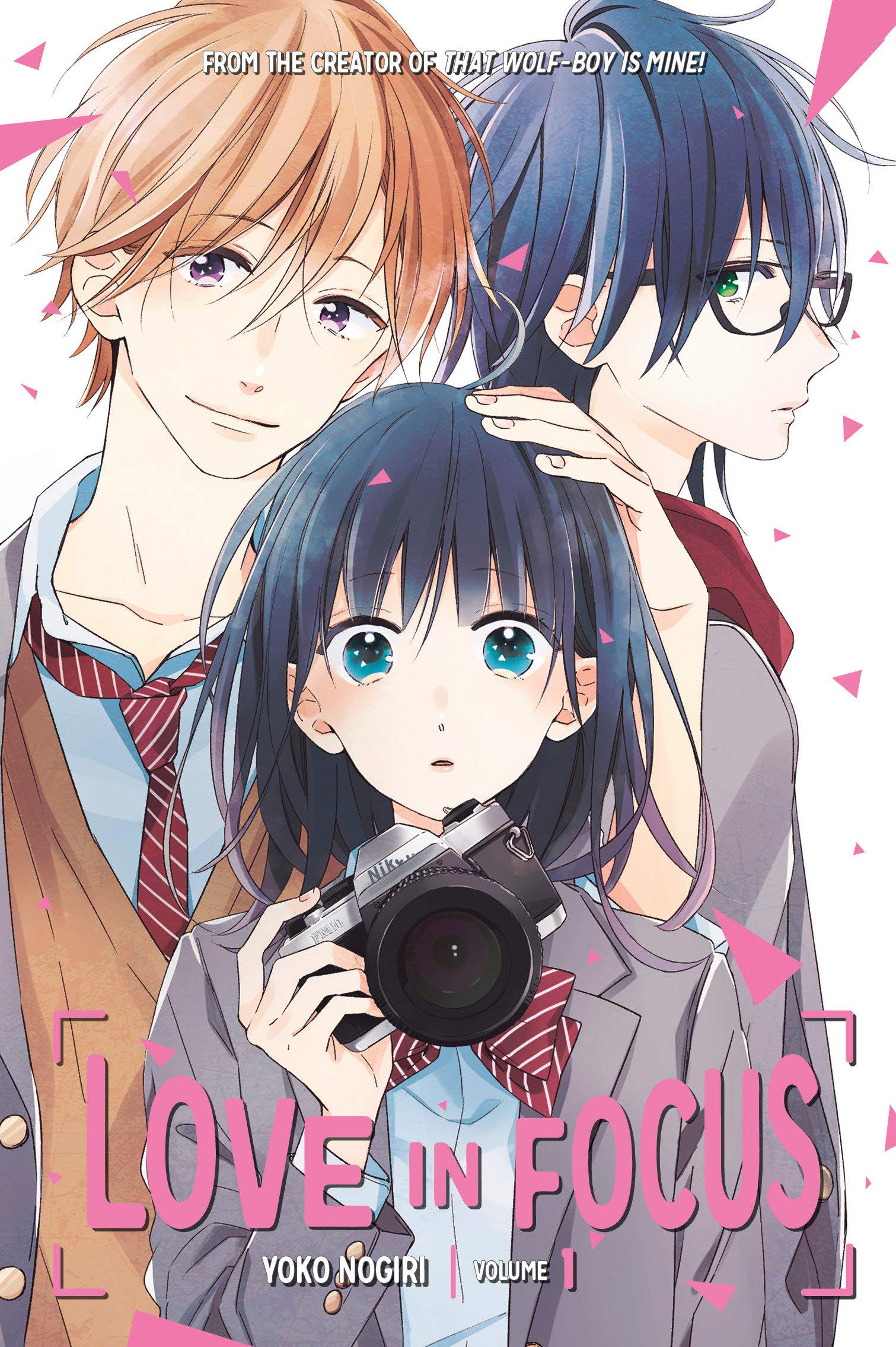 Love in Focus 1,Used