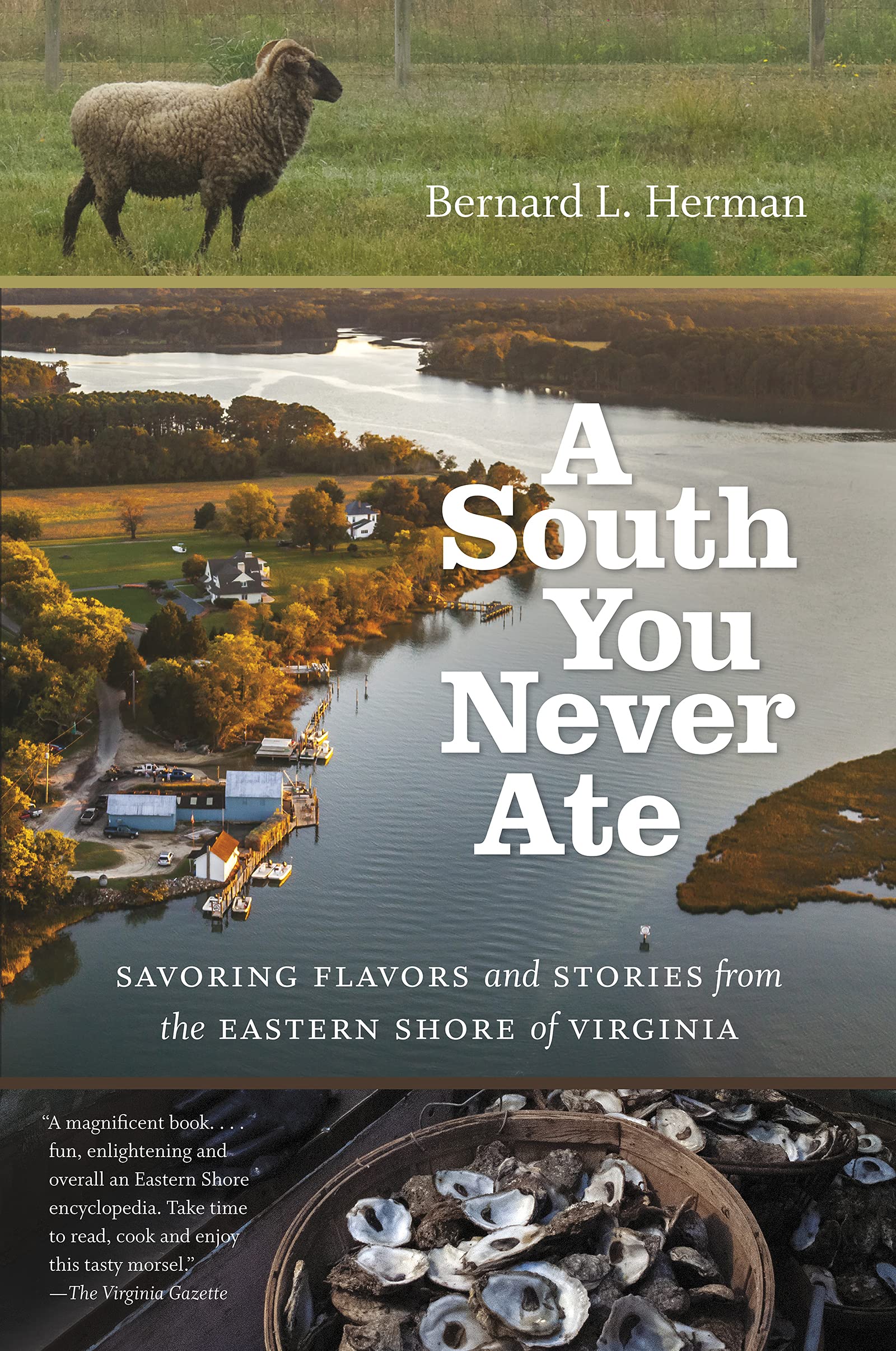 A South You Never Ate: Savoring Flavors And Stories From The Eastern Shore Of Virginia (H. Eugene And Lillian Youngs Lehman Seri,Used