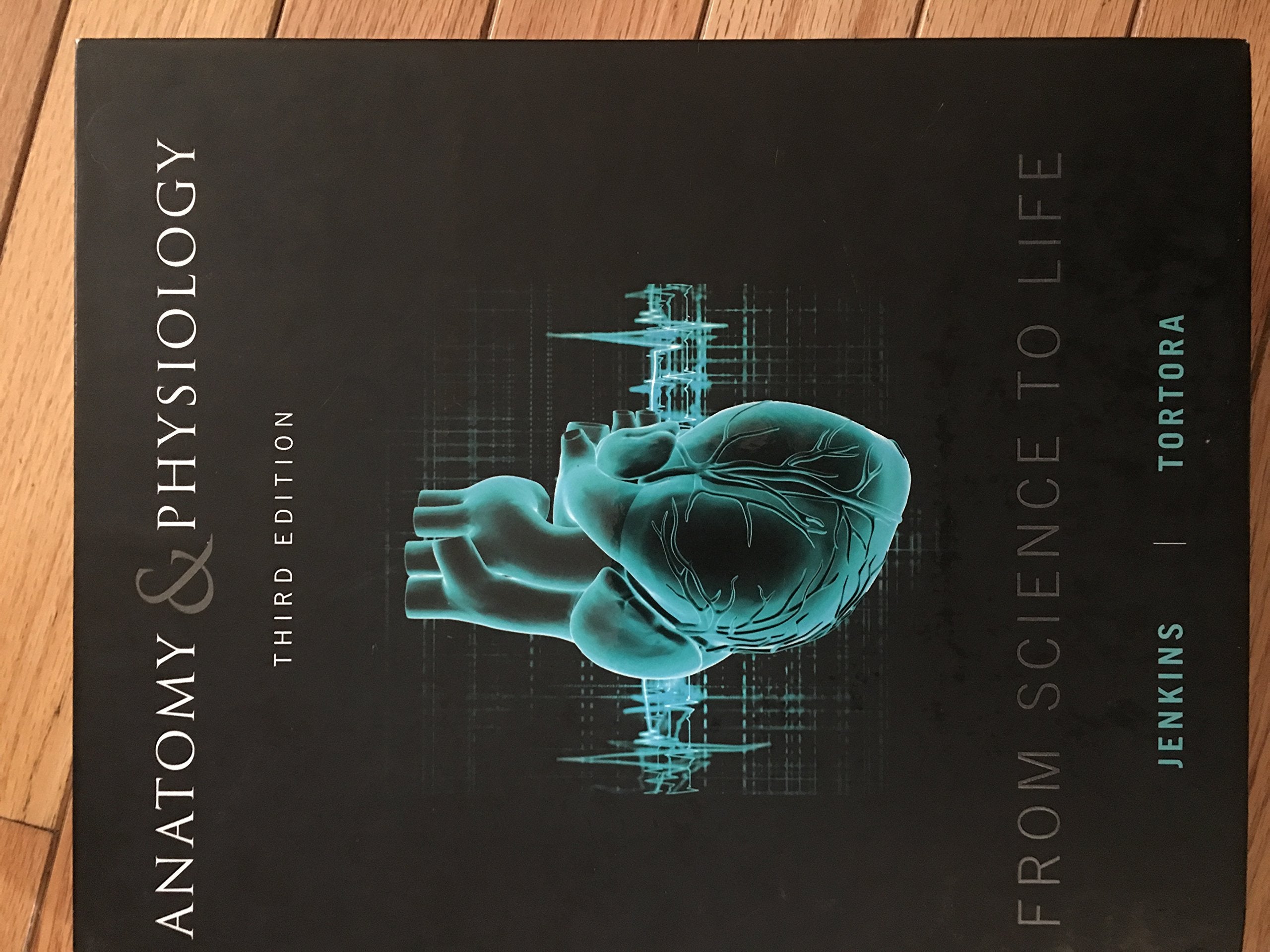 Anatomy And Physiology: From Science To Life