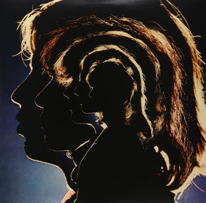 Hot Rocks, 19641971 [Vinyl]