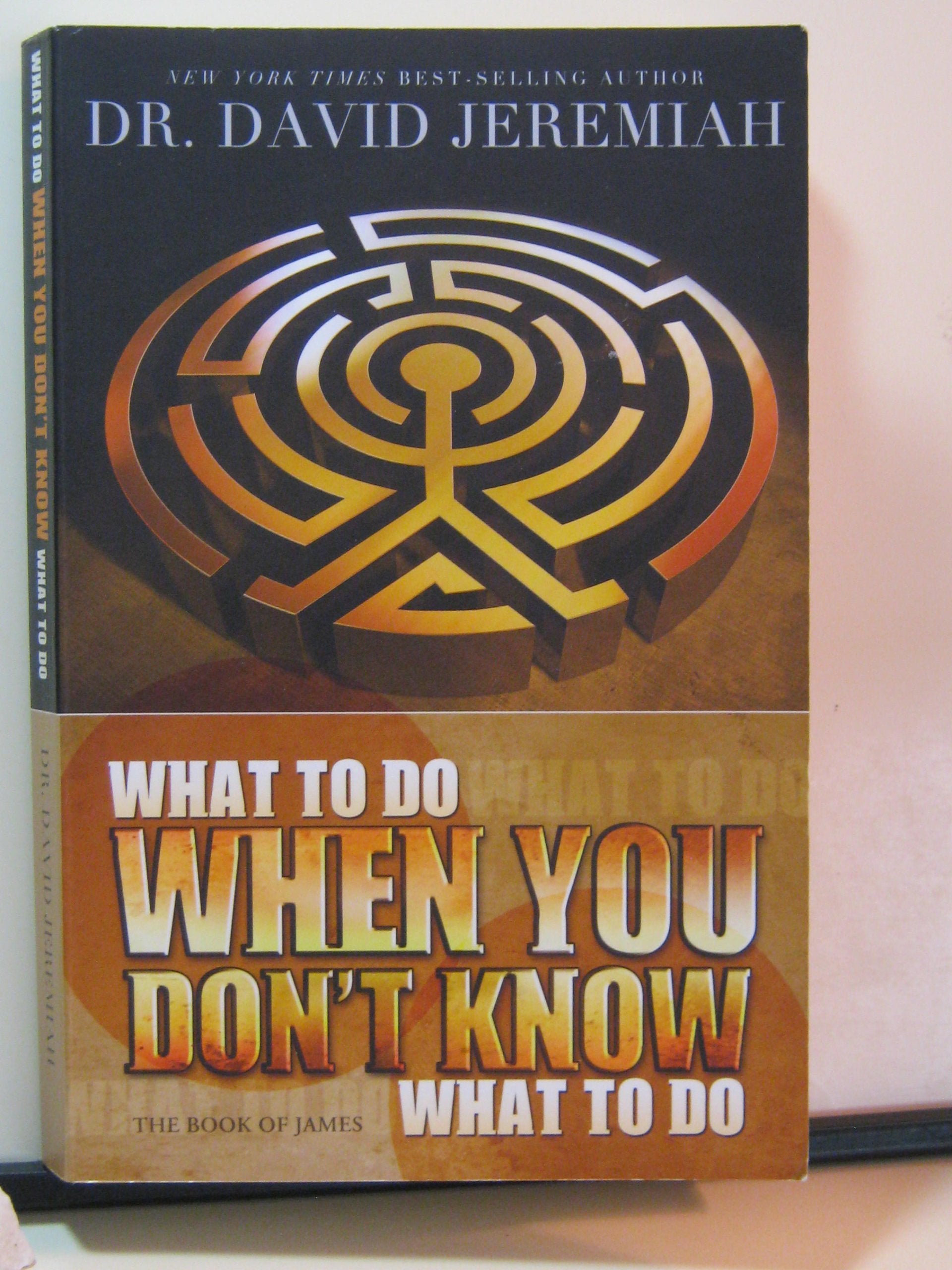 What to Do When You Don't Know What to Do: The Book of James,New