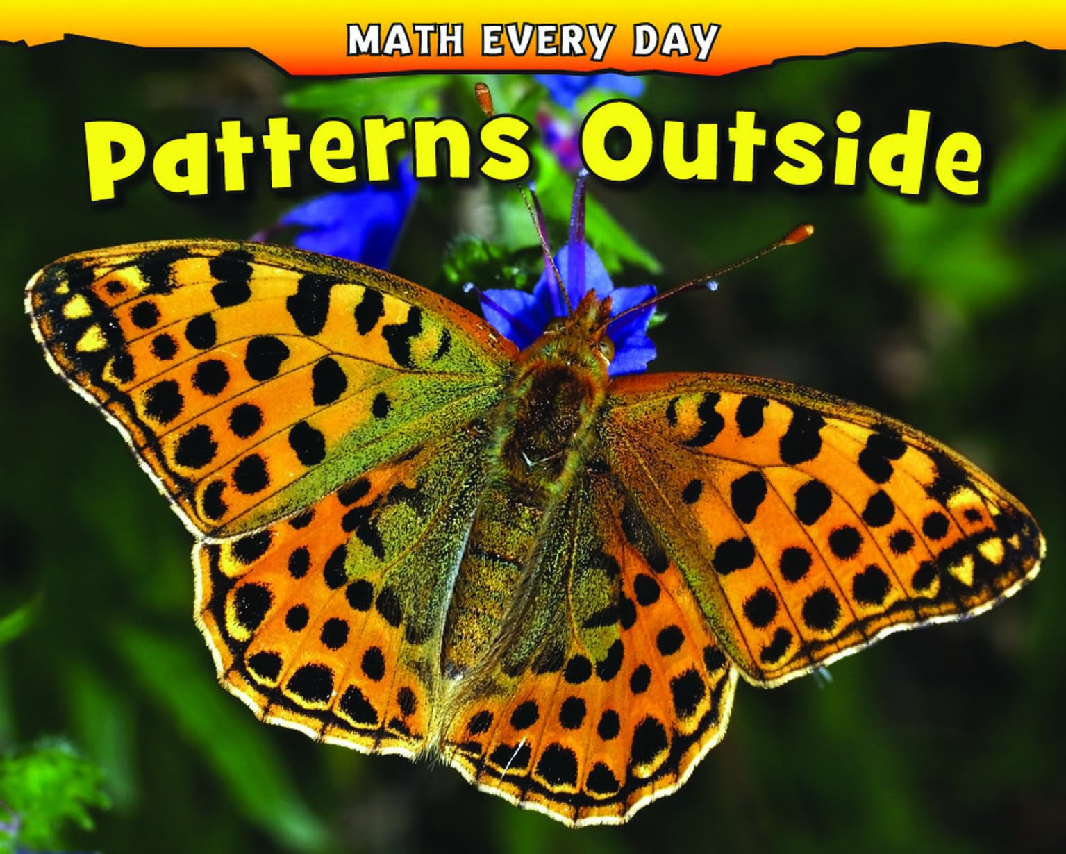Patterns Outside (Math Every Day),Used
