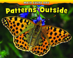 Patterns Outside (Math Every Day),Used