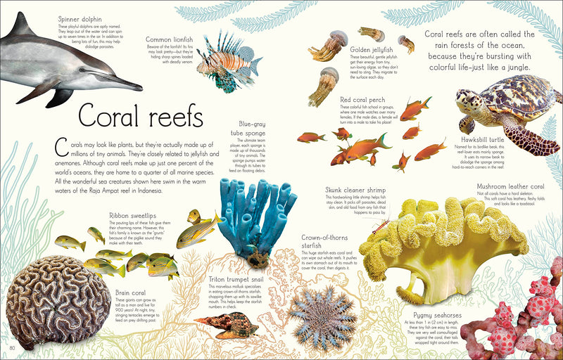 An Anthology Of Aquatic Life (Dk Children'S Anthologies)