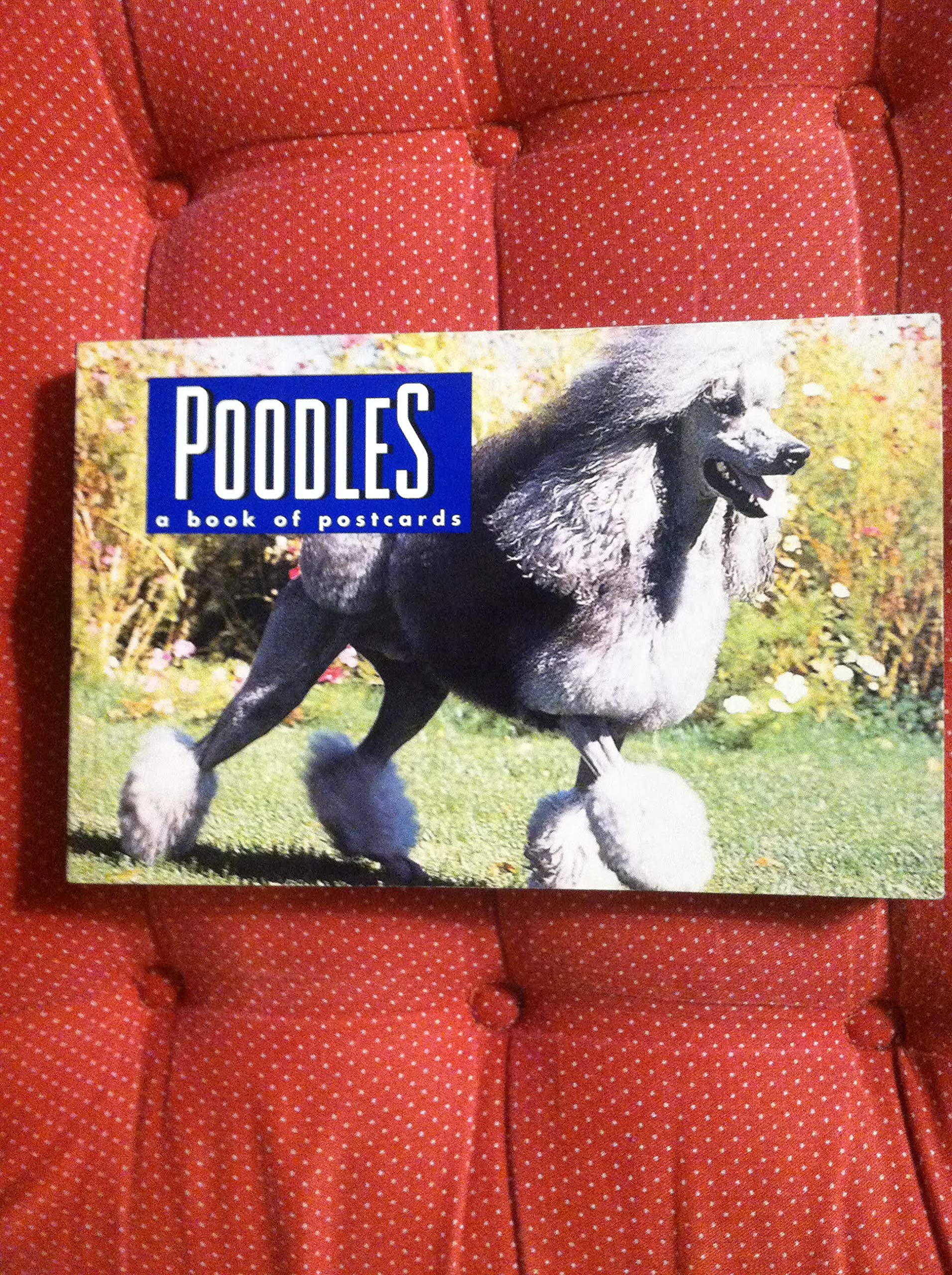 Poodles: A Book of Postcards,Used