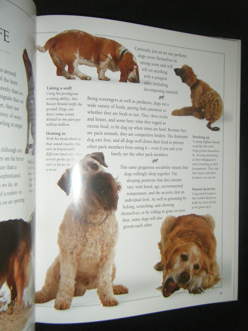 Know Your Dog: An Owner's Guide to Dog Behavior,Used