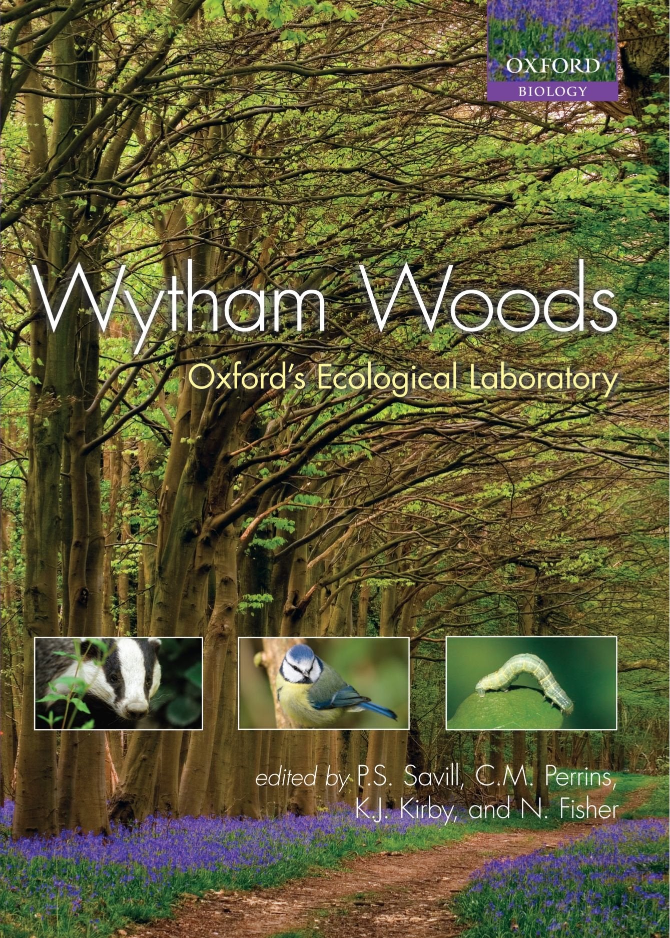 Wytham Woods: Oxford'S Ecological Laboratory