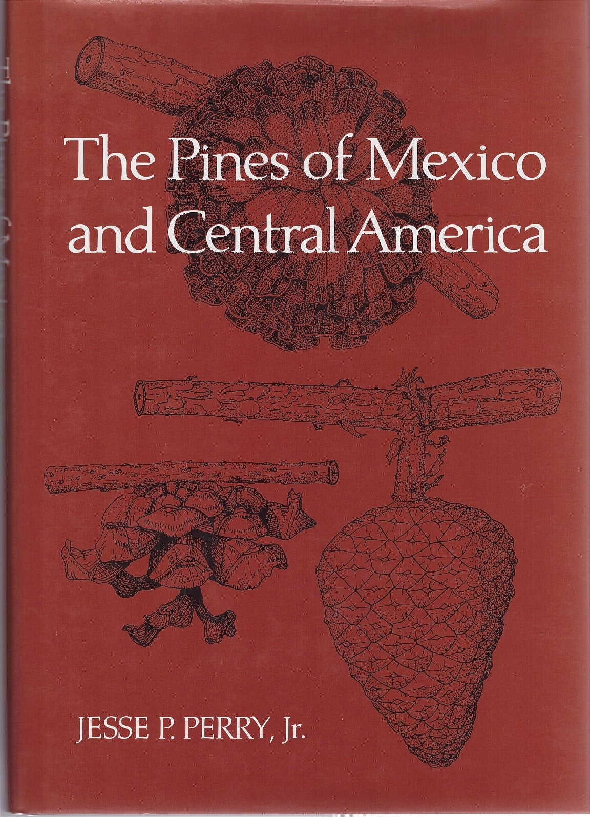 The Pines of Mexico and Central America,Used