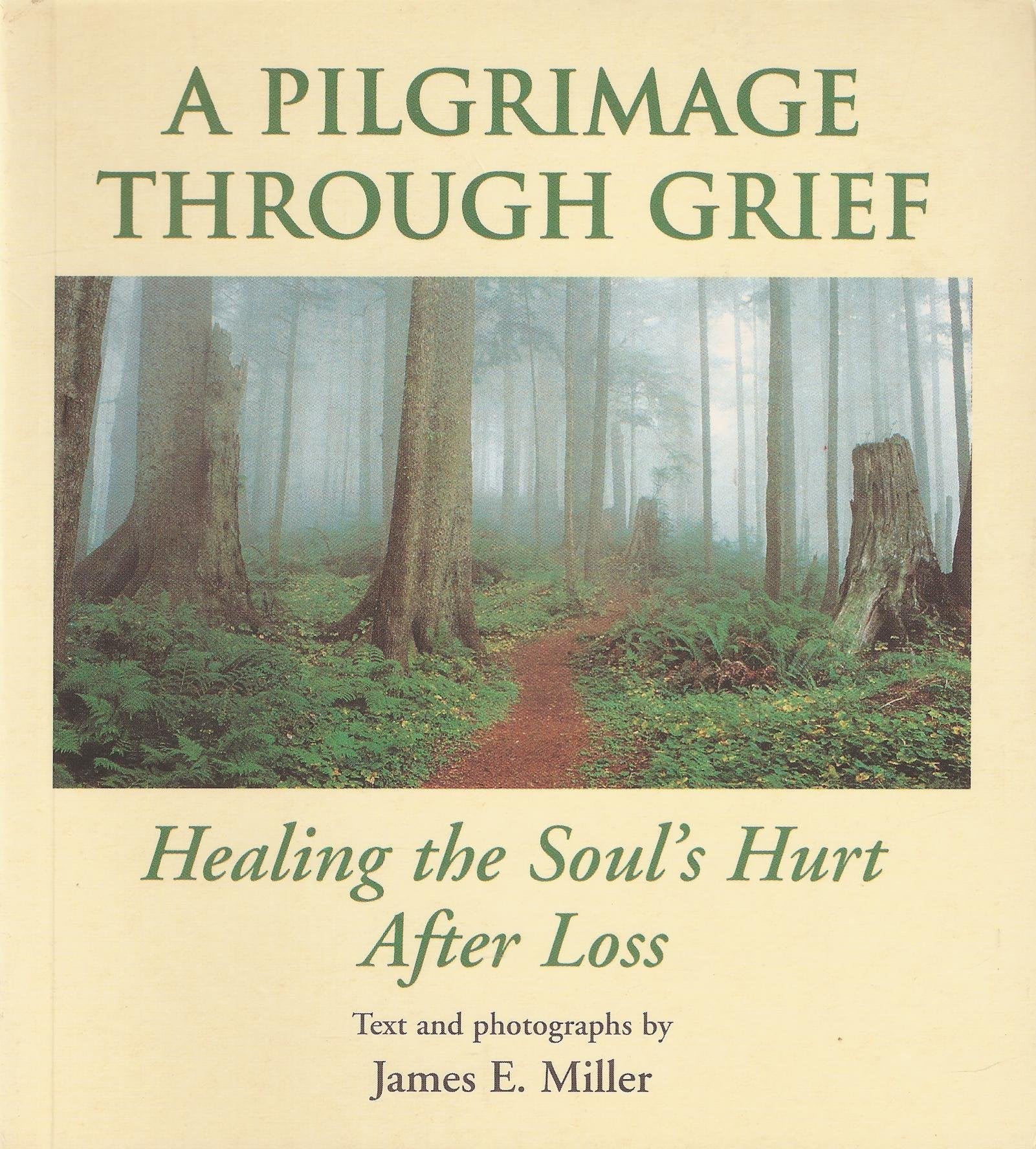 A pilgrimage through grief: Healing the soul's hurt after loss,Used