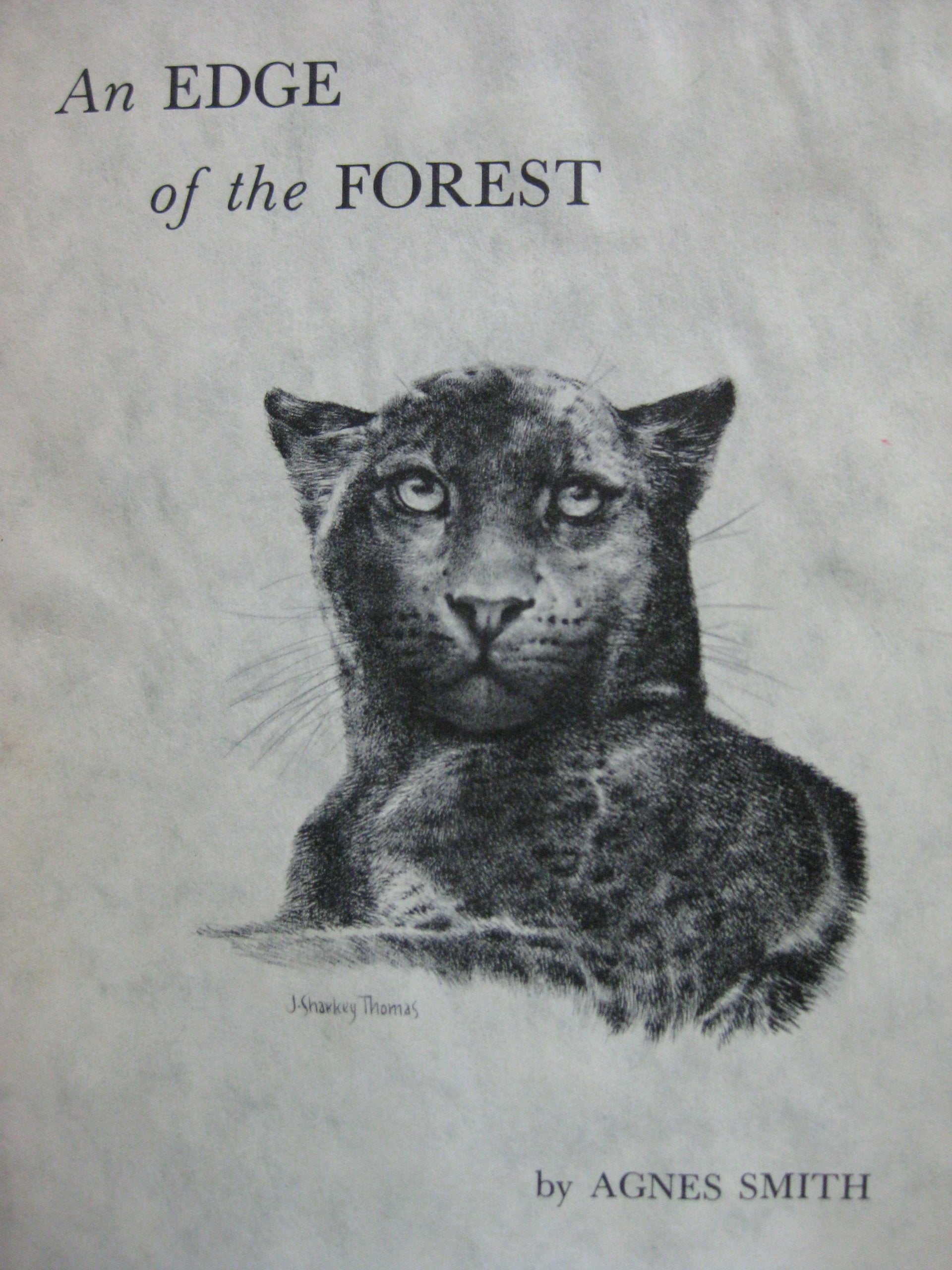 An Edge of the Forest,New