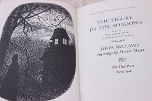 The Figure in the Shadows (Lewis Barnavelt),Used