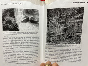 Why the Adirondacks Look the Way They Do: A Natural History,Used