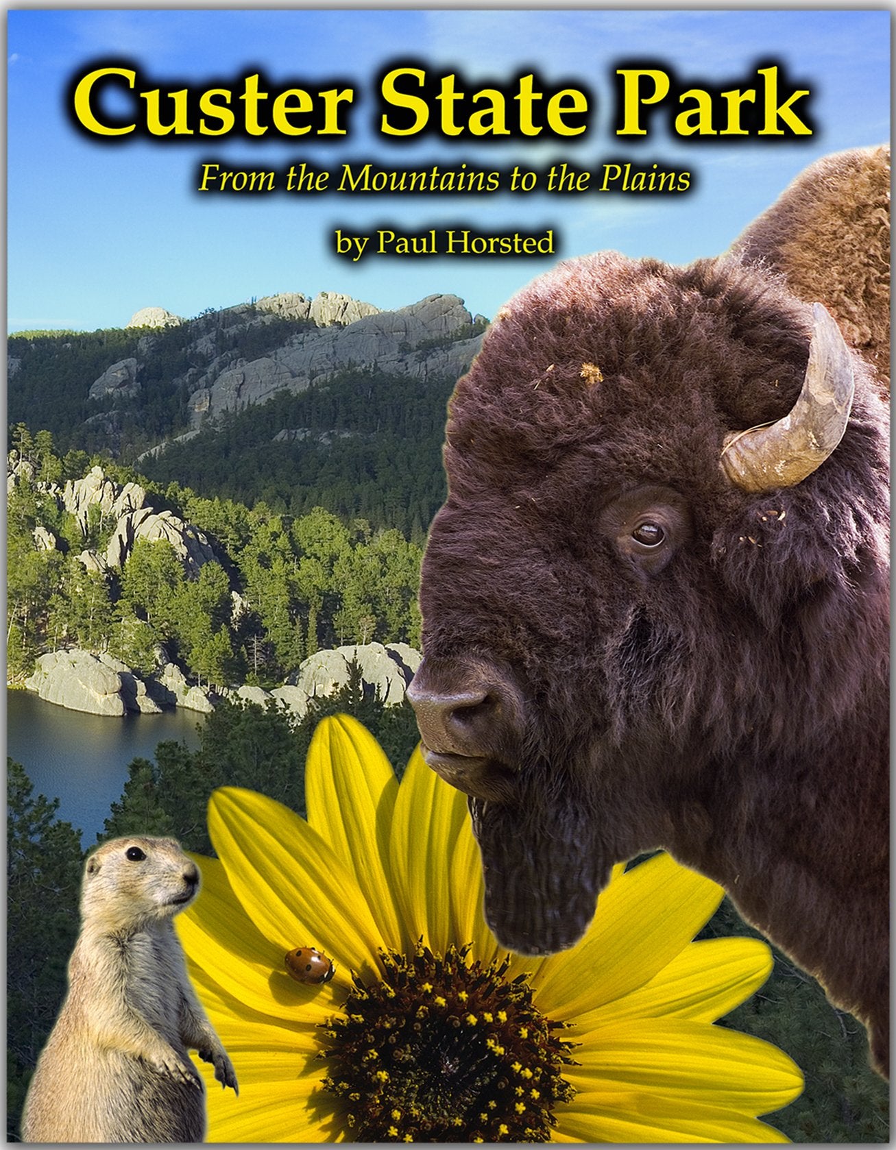 Custer State Park: From the Mountains to the Plains,Used