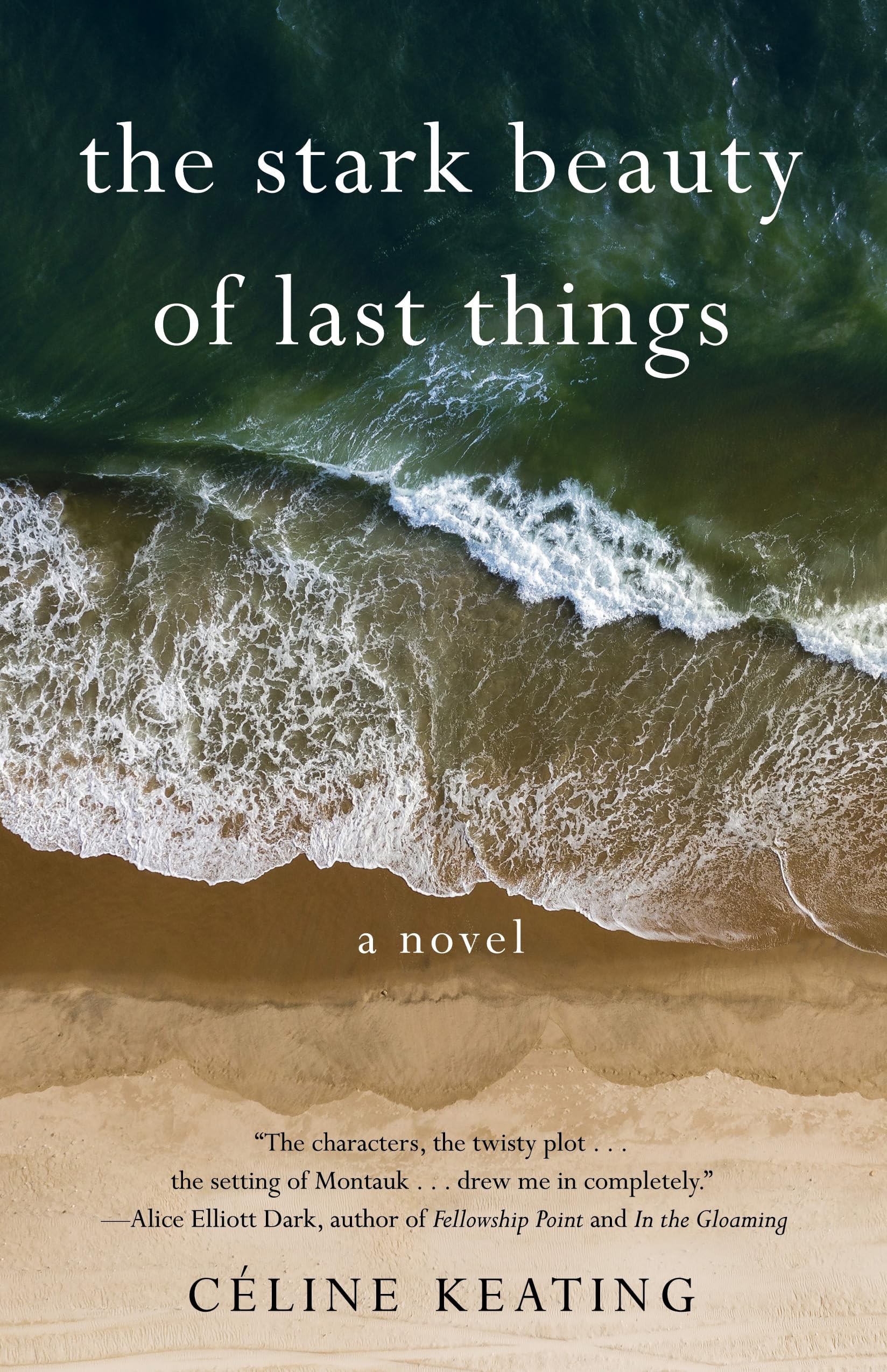 The Stark Beauty Of Last Things: A Novel,New