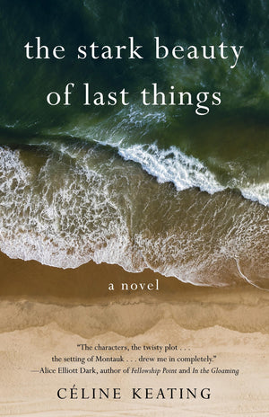 The Stark Beauty Of Last Things: A Novel,Used